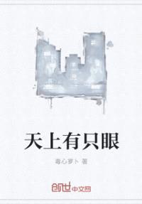 天上有只眼