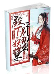 倾世盛宠：殿下，别那么妖孽