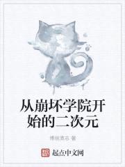 从崩坏学院开始的二次元