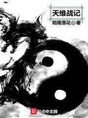 天维战记