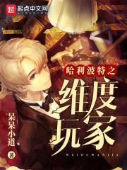 哈利波特之维度玩家