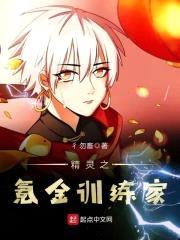 精灵之氪金训练家