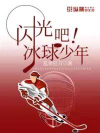 闪光吧，冰球少年