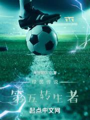 七世绿茵:第五转生者