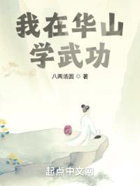 我在华山学武功
