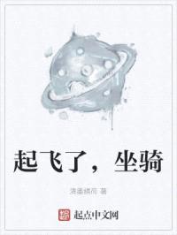 起飞了，坐骑