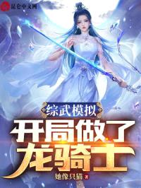 综武模拟:开局做了龙骑士