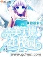 完美天使在校园
